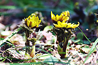 Photo_8
