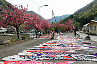 Photo_4