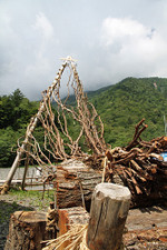 Photo_3