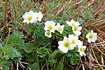 Photo_6