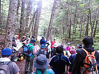 Photo_2