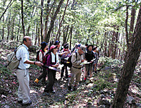 Photo_2