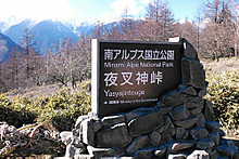 Photo_4