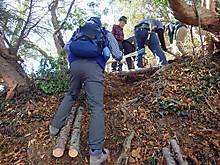 Imgp2772_3