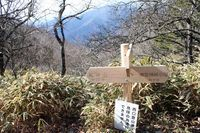 分岐点
