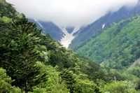 【写真】大樺沢の風景