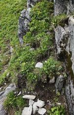 20110825_027