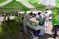 【写真】ヤマブキの苗木を配布