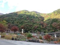 【写真】金山沢公園からの紅葉
