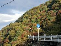 【写真】芦安の紅葉