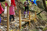 【写真】整備後の登山道を歩く(２日目・森林学習会）