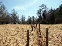 【写真】櫛形山