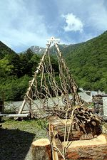 【写真】蔓払い