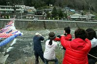 【写真】こいのぼり_2