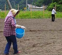 20120820_017