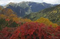 A鳳凰三山とナナカマドの紅葉