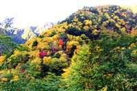 【写真】紅葉１
