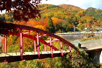 【写真】紅葉