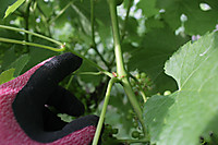 08