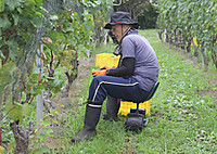 S15 S15