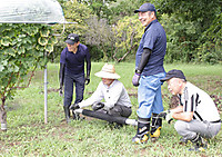 13 13